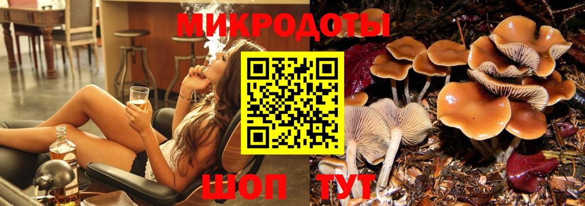 Прокопьевск  Галлюциногенные грибы мухоморы  Галлюциногенные грибы Cubensis  Вход с VPN 